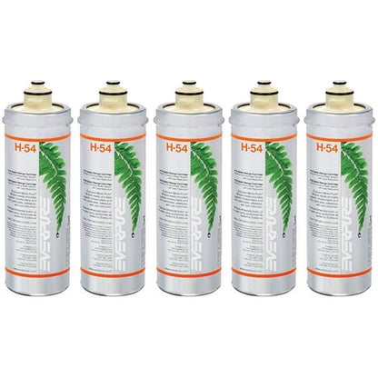 Everpure Filter Cartridge OCS² H54 H - 54 EV961802 / EV961807 - WATER FILTER DISTRIBUTORS