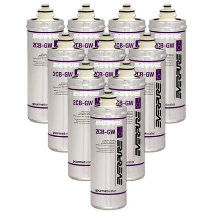 Everpure Premium 2CB - GW Compatible with WFA12 Filter Cartridges - WATER FILTER DISTRIBUTORS