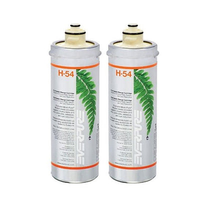 Everpure Water Filter Cartridge Pentair H - 54 EV9730 - 06 EV925268 OCS² - WATER FILTER DISTRIBUTORS