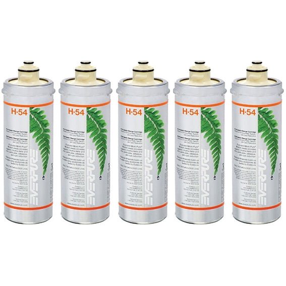 Everpure Water Filter Cartridge Pentair H - 54 EV9730 - 06 EV925268 OCS² - WATER FILTER DISTRIBUTORS