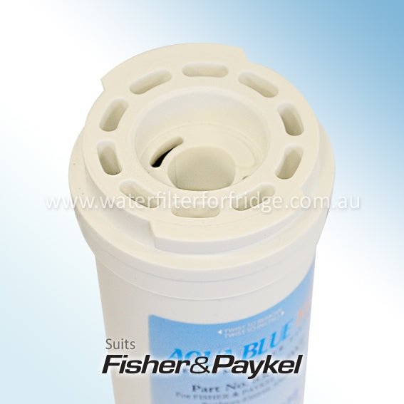 Fisher & Paykel E442BRMFDU Fridge Model 836848/13040210 Replacement Filter Part - WATER FILTER DISTRIBUTORS