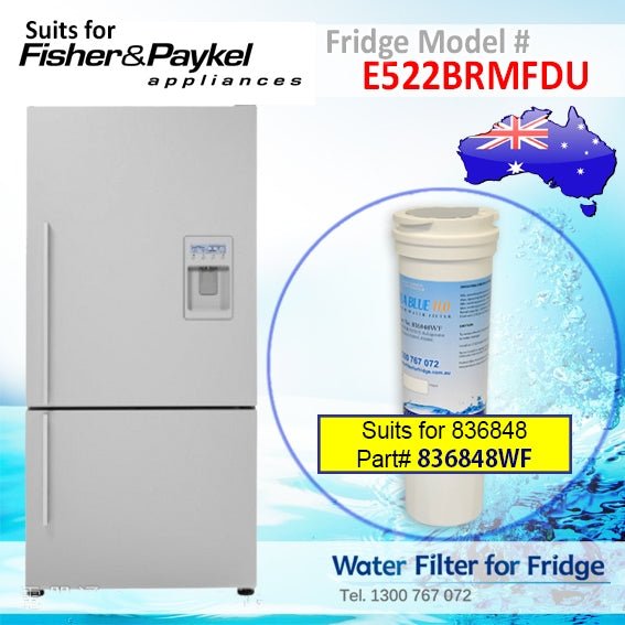 Fisher & Paykel E522BRMFDU Fridge Model 836848/13040210 Replacement Filter Part - WATER FILTER DISTRIBUTORS