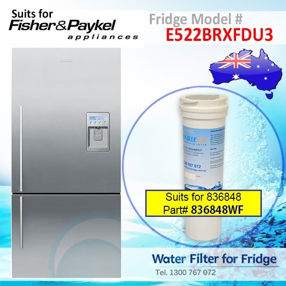 Fisher & Paykel E522BRXFDU3 Fridge Model 836848/13040210 Replacement Filter Part - WATER FILTER DISTRIBUTORS