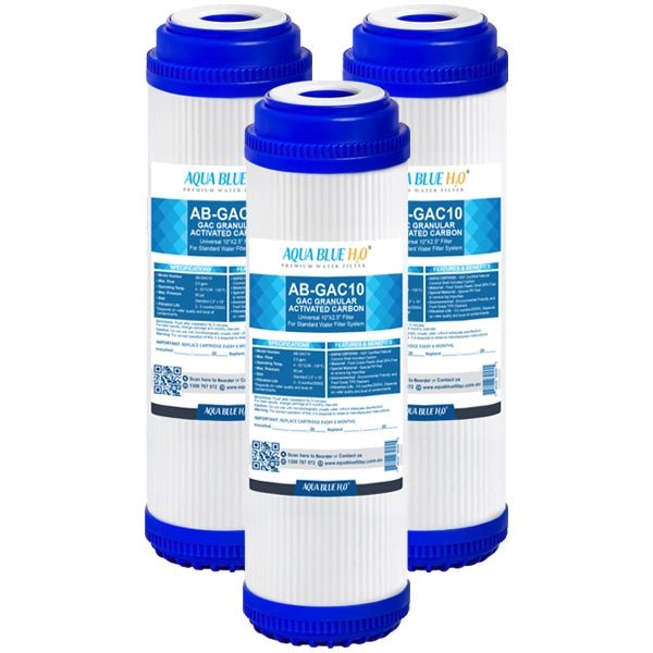 GAC Granular Activated Carbon Water Filter Cartridge 10 x 2.5 Inch - WATER FILTER DISTRIBUTORS