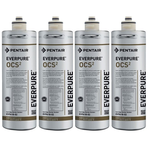 Genuine EVERPURE 0.5Micron • Bacteriostatic Cyst Reduction Scale Control TDS Reduction - WATER FILTER DISTRIBUTORS