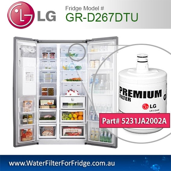 Genuine LG 5231JA2002A ADQ72910901 Gen11042F - 08 Water Filters (LT500P) Premium filters - WATER FILTER DISTRIBUTORS