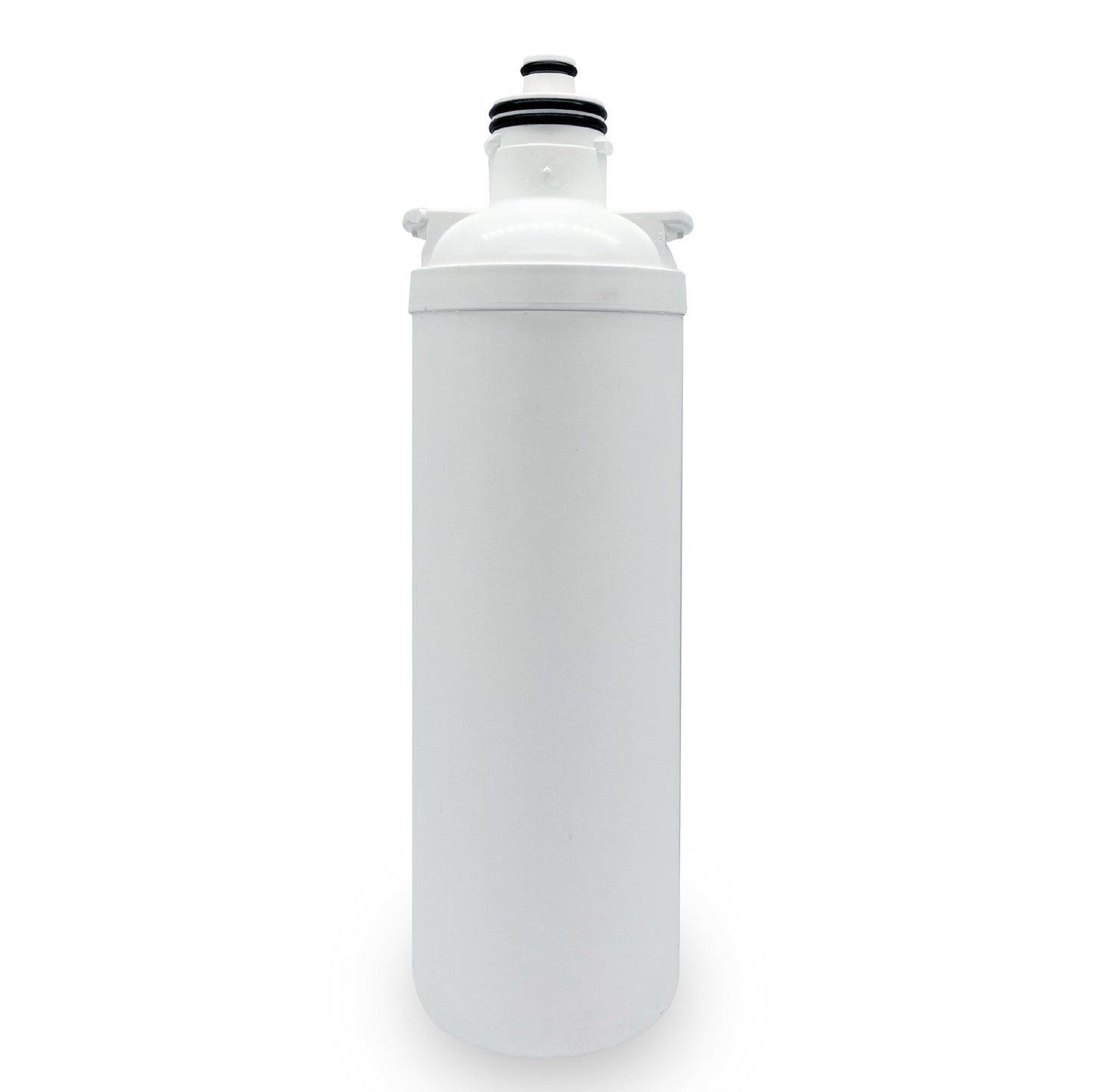 Lab Pua LPA - CS5 - 10 (5um carbon block & Scale inhibitor, 10″L) - WATER FILTER DISTRIBUTORS