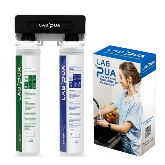Lab Pua Twin Header series Sediment with 0.1 Micron Ultra Fine &Scale Filter KIT - WATER FILTER DISTRIBUTORS