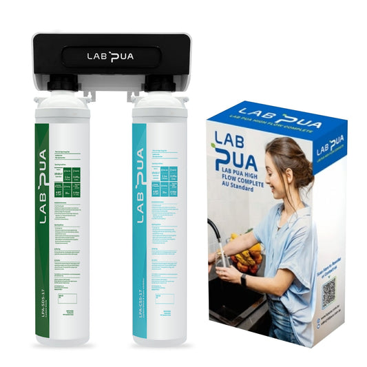 Lab Pua Twin Header series Sediment with Carbon Block with Polyphospate - WATER FILTER DISTRIBUTORS