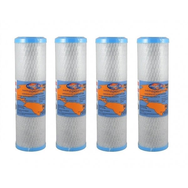 Omnipure 2.5" x 10" 1 Mic Carbon Block Filter OMB934 1 Mic - WATER FILTER DISTRIBUTORS