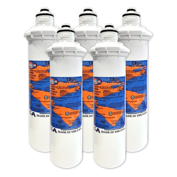 Omnipure E Series E5520 Inline Water Filter - WATER FILTER DISTRIBUTORS