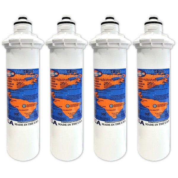 Omnipure E Series E5520 Inline Water Filter - WATER FILTER DISTRIBUTORS