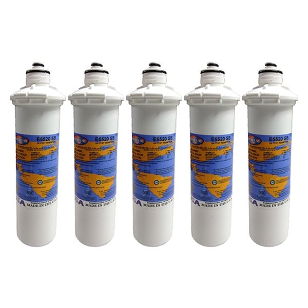 Omnipure E5520 - SB E - Series 2.5" x 10" 1 Mic Carbon Block Filter with Cyst Reduction - WATER FILTER DISTRIBUTORS
