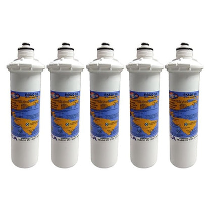 Omnipure E5520 - SB E - Series 2.5" x 10" 1 Mic Carbon Block Filter with Cyst Reduction - WATER FILTER DISTRIBUTORS