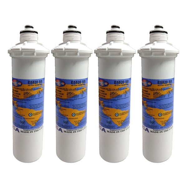 Omnipure E5520 - SB E - Series 2.5" x 10" 1 Mic Carbon Block Filter with Cyst Reduction - WATER FILTER DISTRIBUTORS