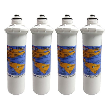 Omnipure E5520 - SB E - Series 2.5" x 10" 1 Mic Carbon Block Filter with Cyst Reduction - WATER FILTER DISTRIBUTORS