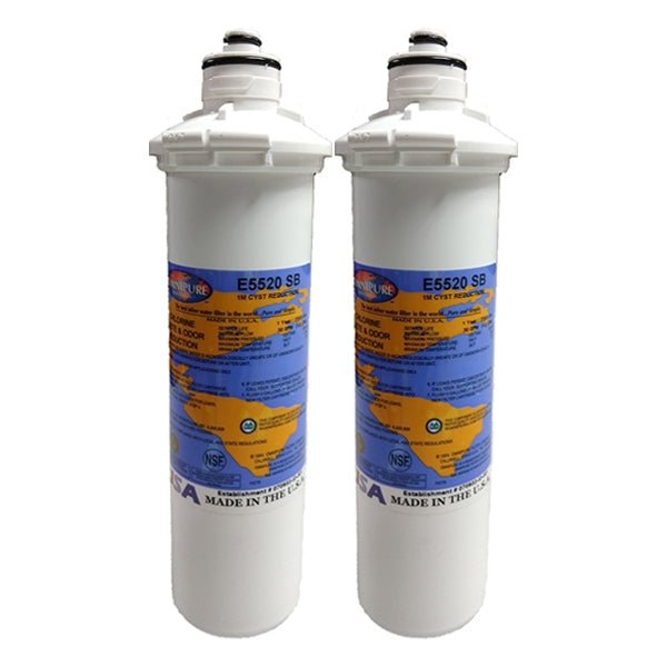 Omnipure E5520 - SB E - Series 2.5" x 10" 1 Mic Carbon Block Filter with Cyst Reduction - WATER FILTER DISTRIBUTORS