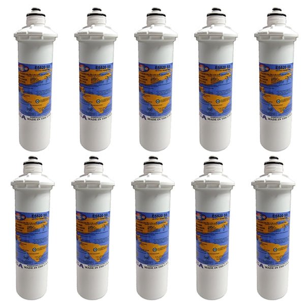 Omnipure E5520 - SB E - Series 2.5" x 10" 1 Mic Carbon Block Filter with Cyst Reduction - WATER FILTER DISTRIBUTORS