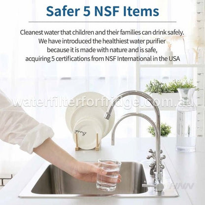 Under - sink water filtration system Paragon Water Filter CP - 4 - WATER FILTER DISTRIBUTORS