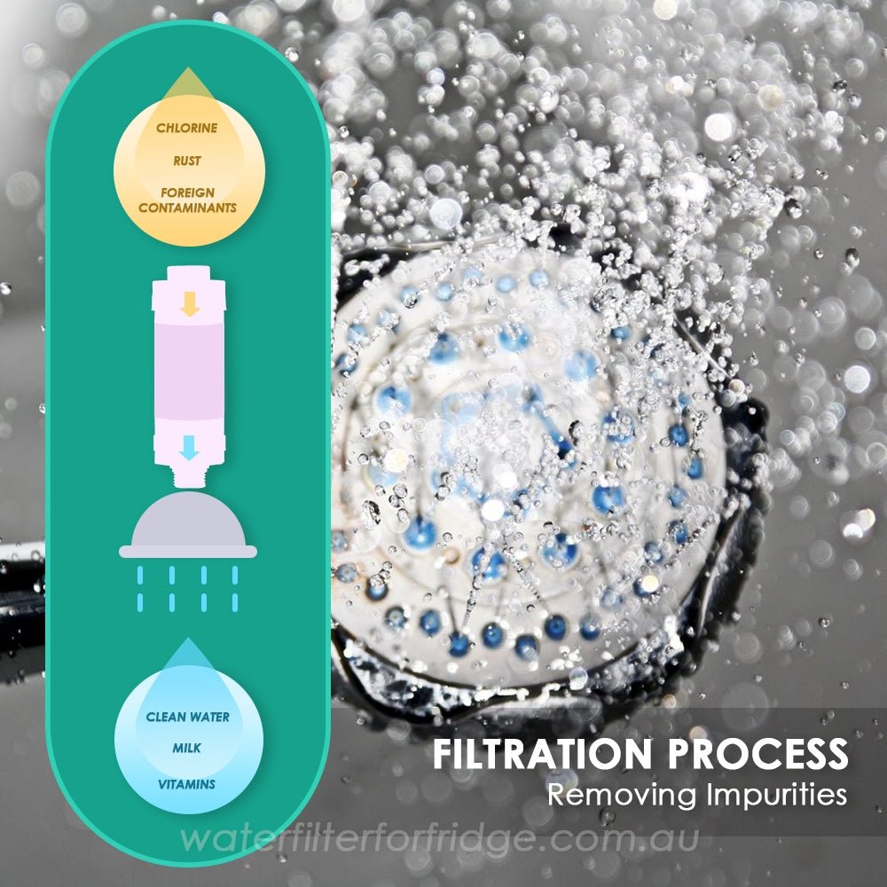 VITAMIN C SHOWER FILTER AROMA - Shower Me - Made in Korea - WATER FILTER DISTRIBUTORS