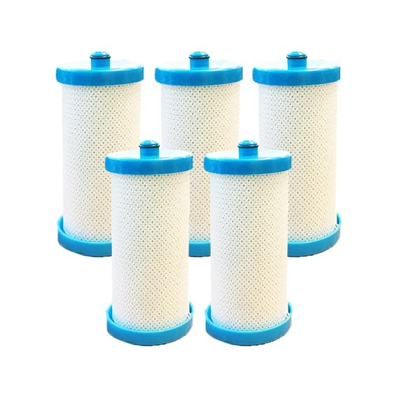Westinghouse Electrolux 1438545 Fridge Water Filter 218904501 WF1CB - WATER FILTER DISTRIBUTORS