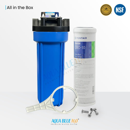 Whole House Water System with Carbon Block Filter CBC - 10 Giardia Cyst Reduction Water Filter 0.5 Micron - WATER FILTER DISTRIBUTORS
