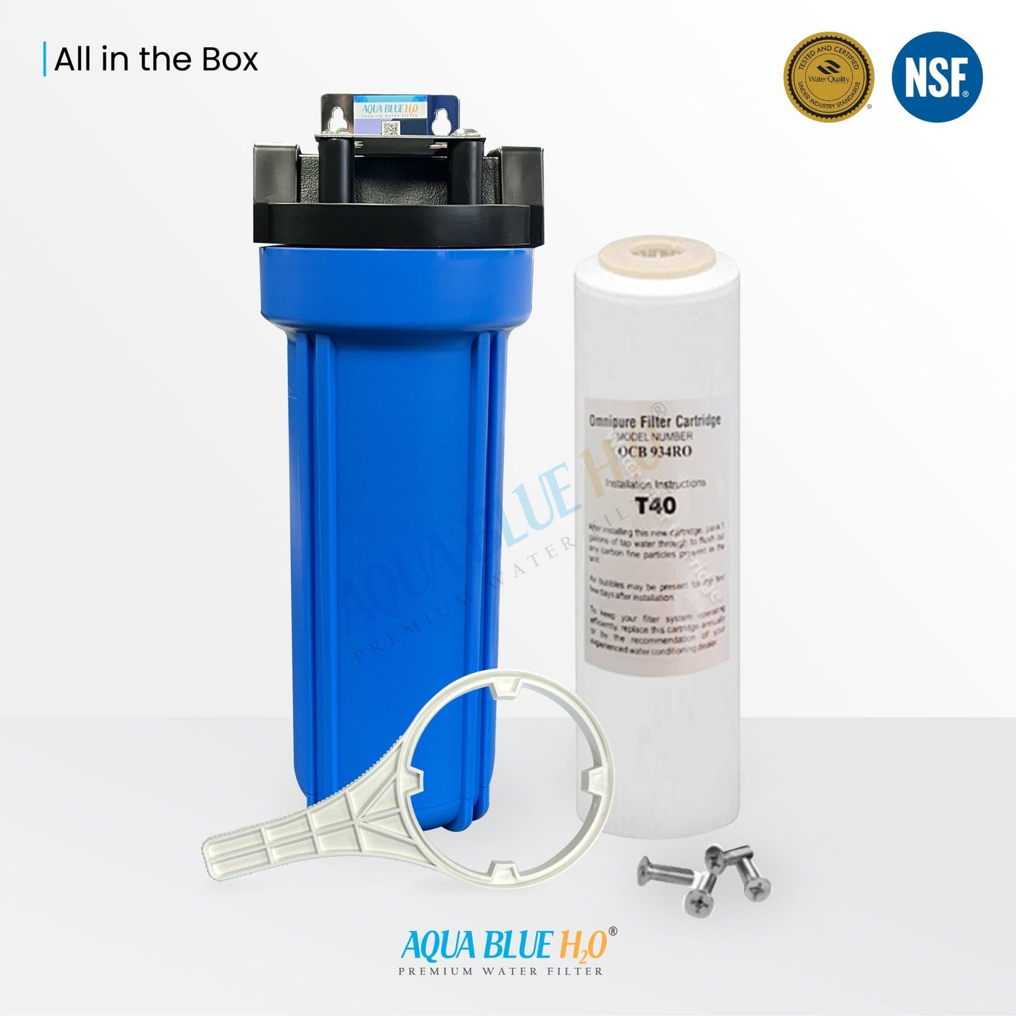 Whole House Water System with Omnipure OCB934 RO T40 GAC Water Filter - WATER FILTER DISTRIBUTORS