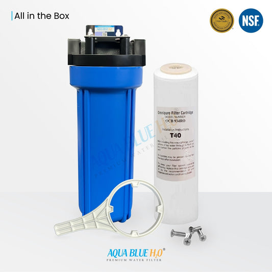 Whole House Water System with Omnipure OCB934 RO T40 GAC Water Filter - WATER FILTER DISTRIBUTORS