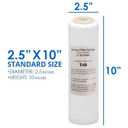 Whole House Water System with Omnipure OCB934 RO T40 GAC Water Filter - WATER FILTER DISTRIBUTORS